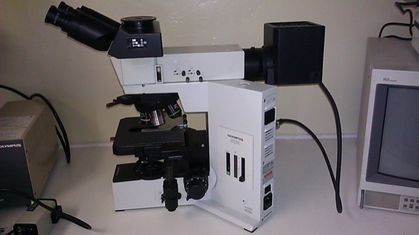 Olympus Bx50 에서 Microscopes 판매용 (익숙한) #109643 > CAE