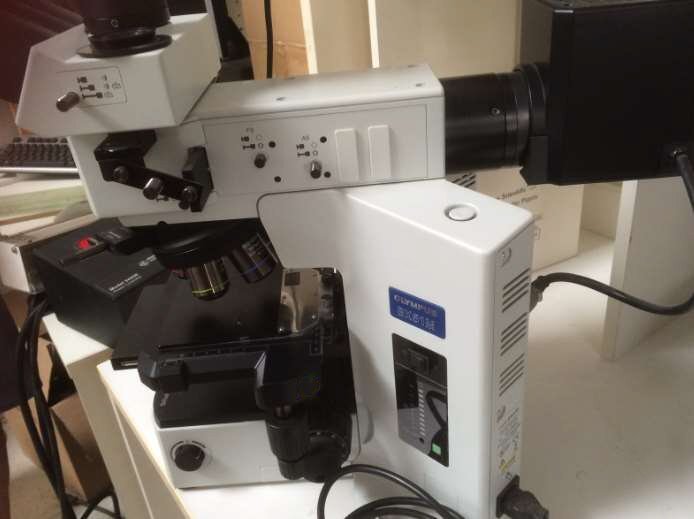 Photo Used OLYMPUS BX51RF For Sale