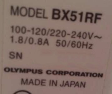 Photo Used OLYMPUS BX51RF For Sale