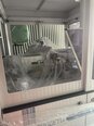 图为 已使用的 ECOPROGETTI EVO3000 待售