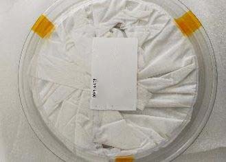 Photo Used AMAT / APPLIED MATERIALS 0021-35008 For Sale