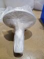 圖為 已使用的 AMAT / APPLIED MATERIALS 0195-01037 待售