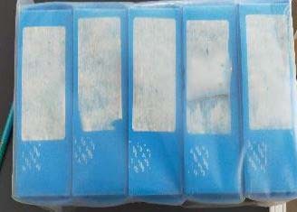 Photo Used AMAT / APPLIED MATERIALS 0200-20492 For Sale