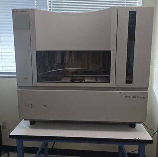 APPLIED BIOSYSTEMS / ABI / MDS SCIEX 3730XL #293804765