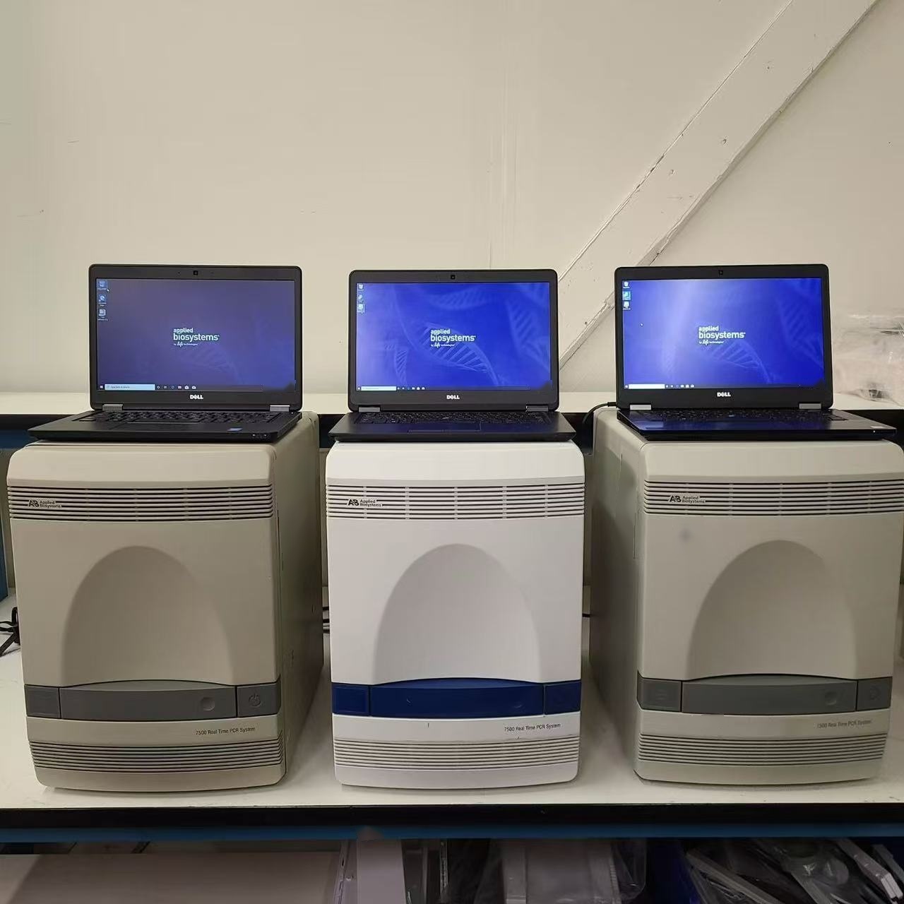 フォト（写真） 使用される APPLIED BIOSYSTEMS / ABI / MDS SCIEX 7500 販売のために