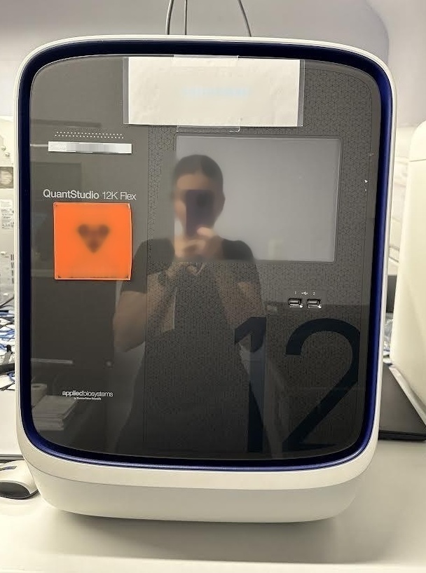 사진 사용됨 APPLIED BIOSYSTEMS / ABI QuantStudio 12K 판매용