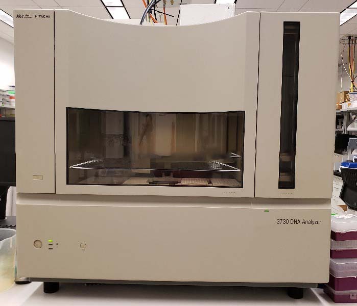 Photo Used APPLIED BIOSYSTEMS / HITACHI 3730 For Sale