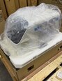 フォト（写真） 使用される APPLIED BIOSYSTEMS / THERMO FISHER SCIENTIFIC VeritiPro 販売のために