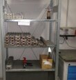 Foto Verwendet AMAT / APPLIED MATERIALS / HCT E500SD-B/5 Zum Verkauf