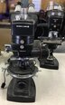 Photo Used BAUSCH & LOMB Lot of (3) Microscopes For Sale