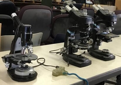 BAUSCH & LOMB Lot of (3) Microscopes #293615602