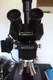 Photo Used BAUSCH & LOMB Microzoom II For Sale