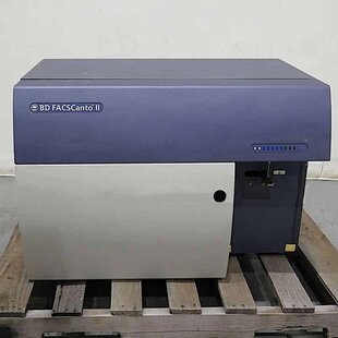 BD BIOSCIENCES FACSCanto II #293808316