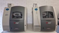 사진 사용됨 BECKMAN COULTER PA 800 Plus 판매용