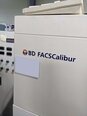 BECTON DICKINSON / BD BIOSCIENCES FACSCalibur