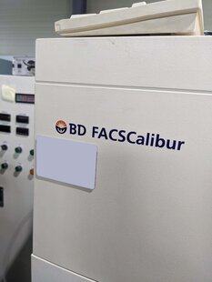 BECTON DICKINSON / BD BIOSCIENCES FACSCalibur #293690623