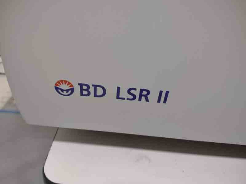 图为 已使用的 BECTON DICKINSON BD LSR II 待售