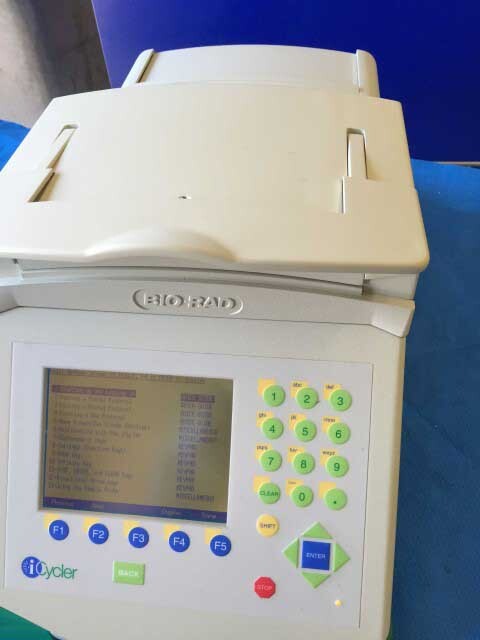 Foto Verwendet NANOMETRICS / BIO-RAD / ACCENT iCycler Zum Verkauf