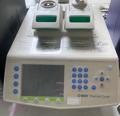 사진 사용됨 BIO-RAD C 1000 판매용