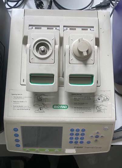 사진 사용됨 BIO-RAD C 1000 판매용