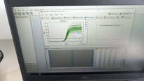 사진 사용됨 BIO-RAD CFX384 판매용