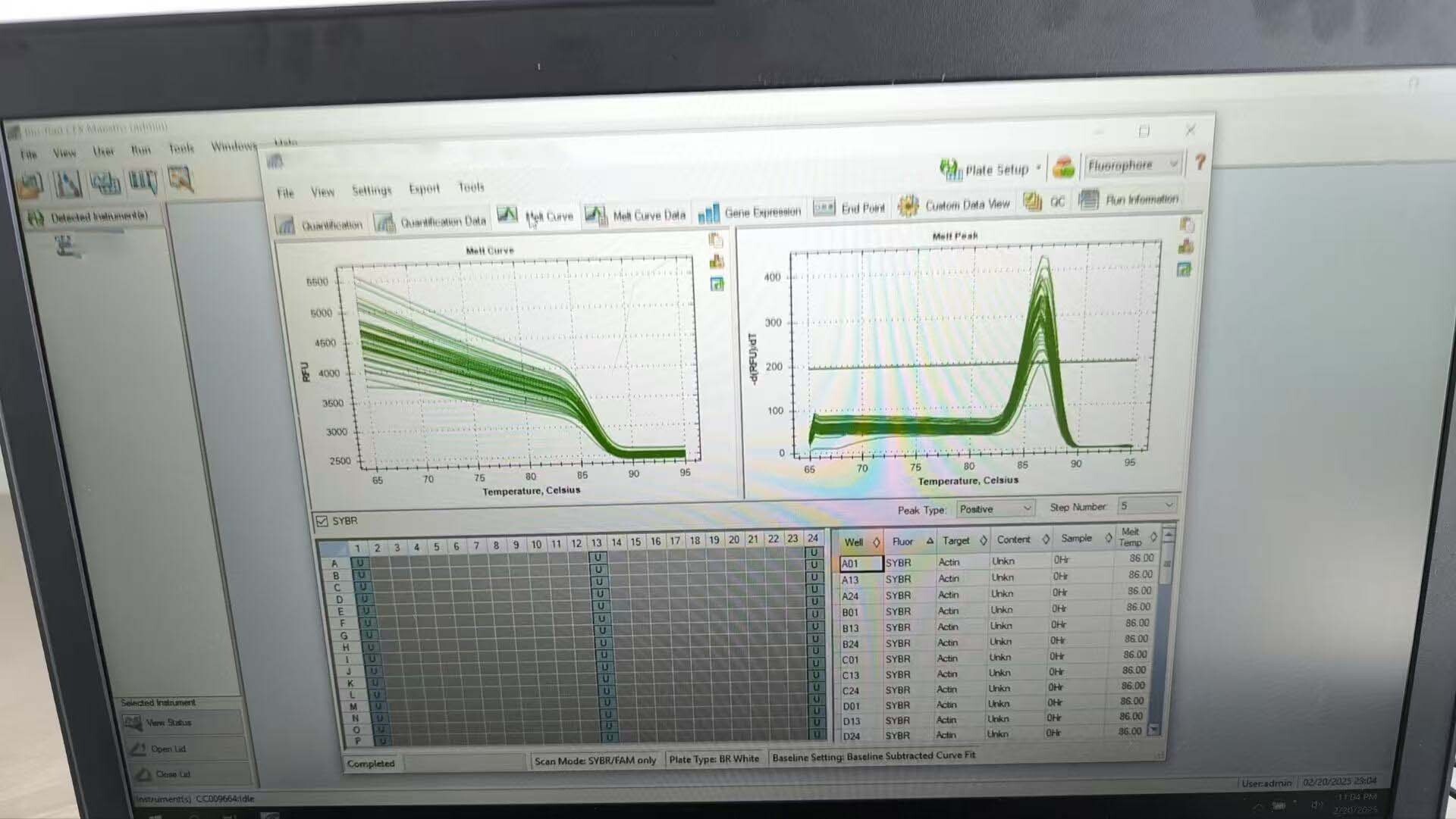 사진 사용됨 BIO-RAD CFX384 판매용