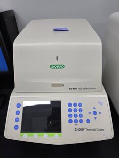 BIO-RAD CFX96 #293820338