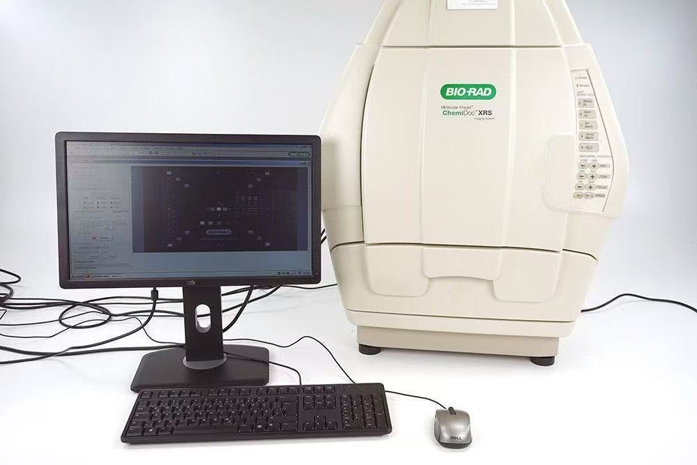Foto Verwendet BIO-RAD ChemiDoc Zum Verkauf