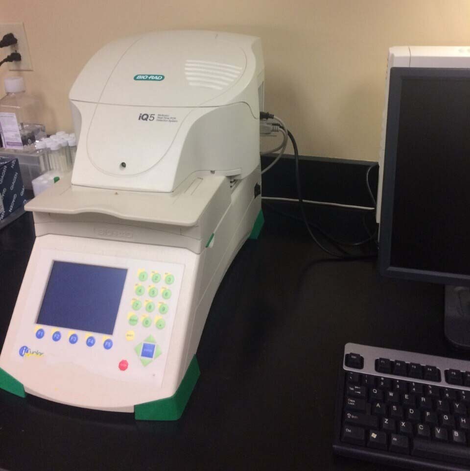 Photo Used BIO-RAD IQ5 For Sale