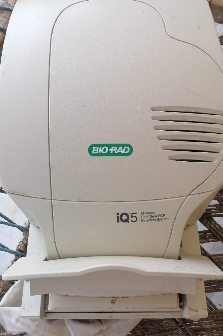Photo Used BIO-RAD IQ5 For Sale