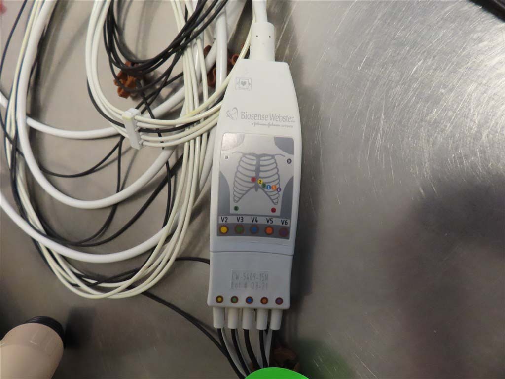 Foto Verwendet BIOSENSE WEBSTER CARTO 3 Zum Verkauf