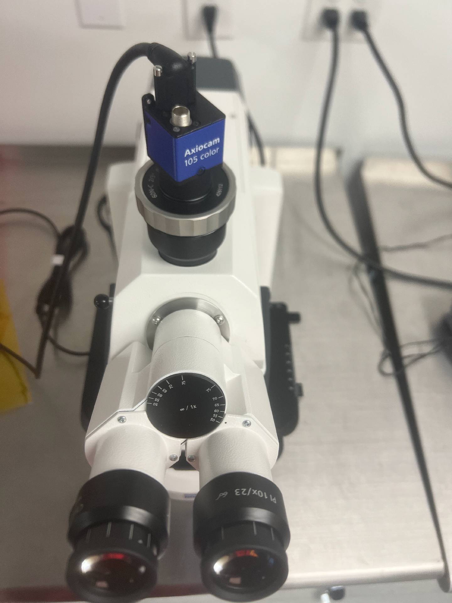 Photo Used CARL ZEISS Axioscope 5 For Sale
