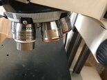 Photo Used CARL ZEISS Axioscope A1 For Sale