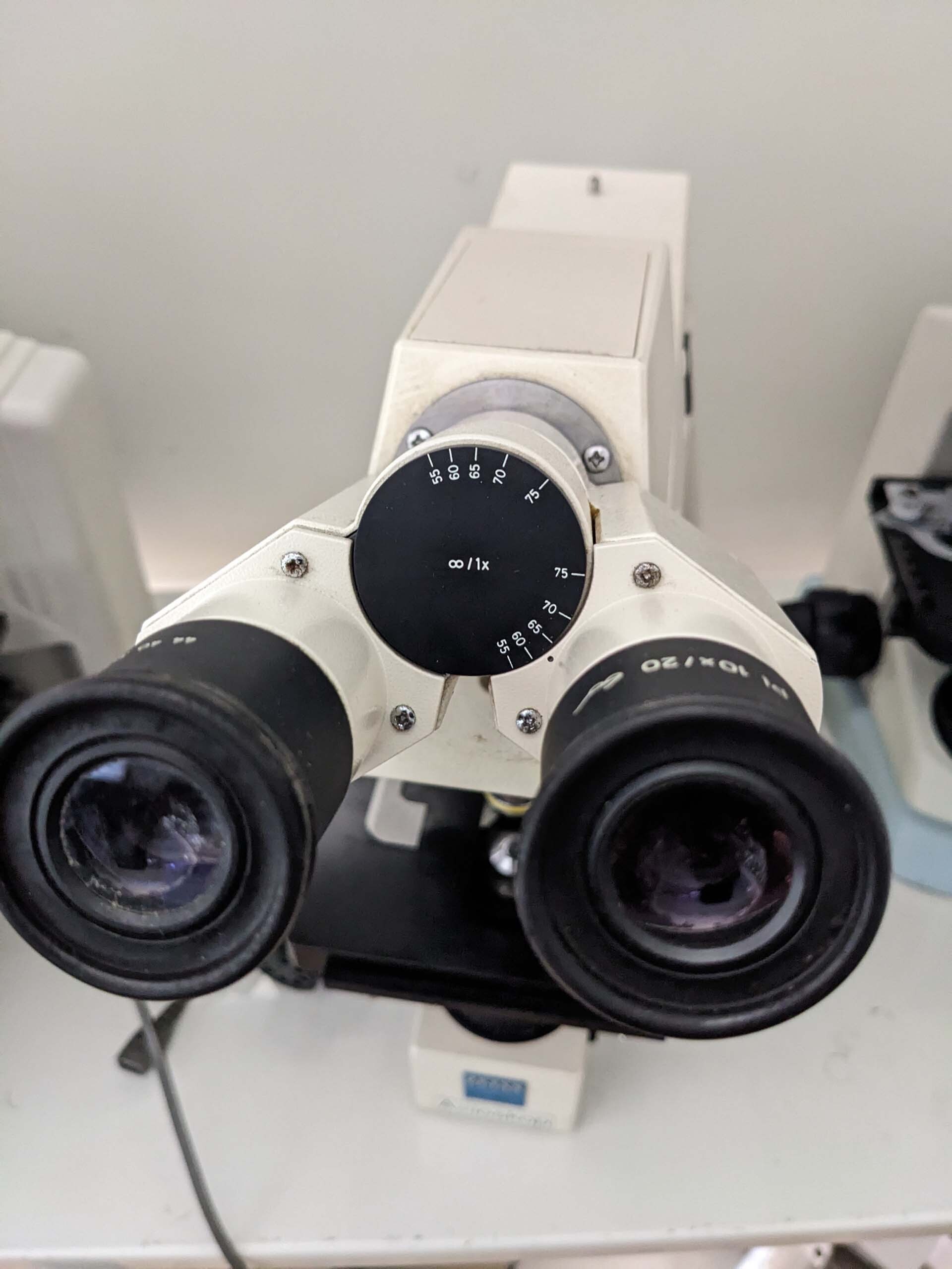 Photo Used CARL ZEISS Axioskop 20 For Sale
