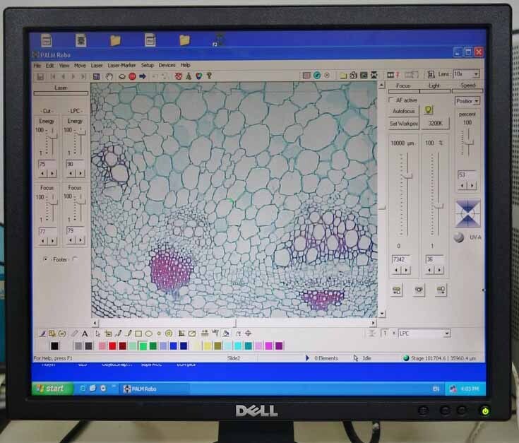 圖為 已使用的 CARL ZEISS PALM MicroBeam 待售