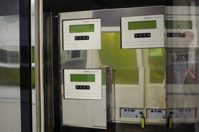 Photo Used DNS / DAINIPPON SK-80BW-BVP For Sale