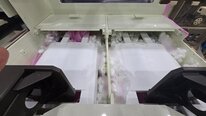 사진 사용됨 DNS / DAINIPPON FC-3100 판매용