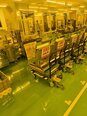 フォト（写真） 使用される DNS / DAINIPPON LI-6S-M 販売のために