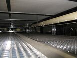 Photo Used DNS / DAINIPPON SK-80BW-BVP For Sale