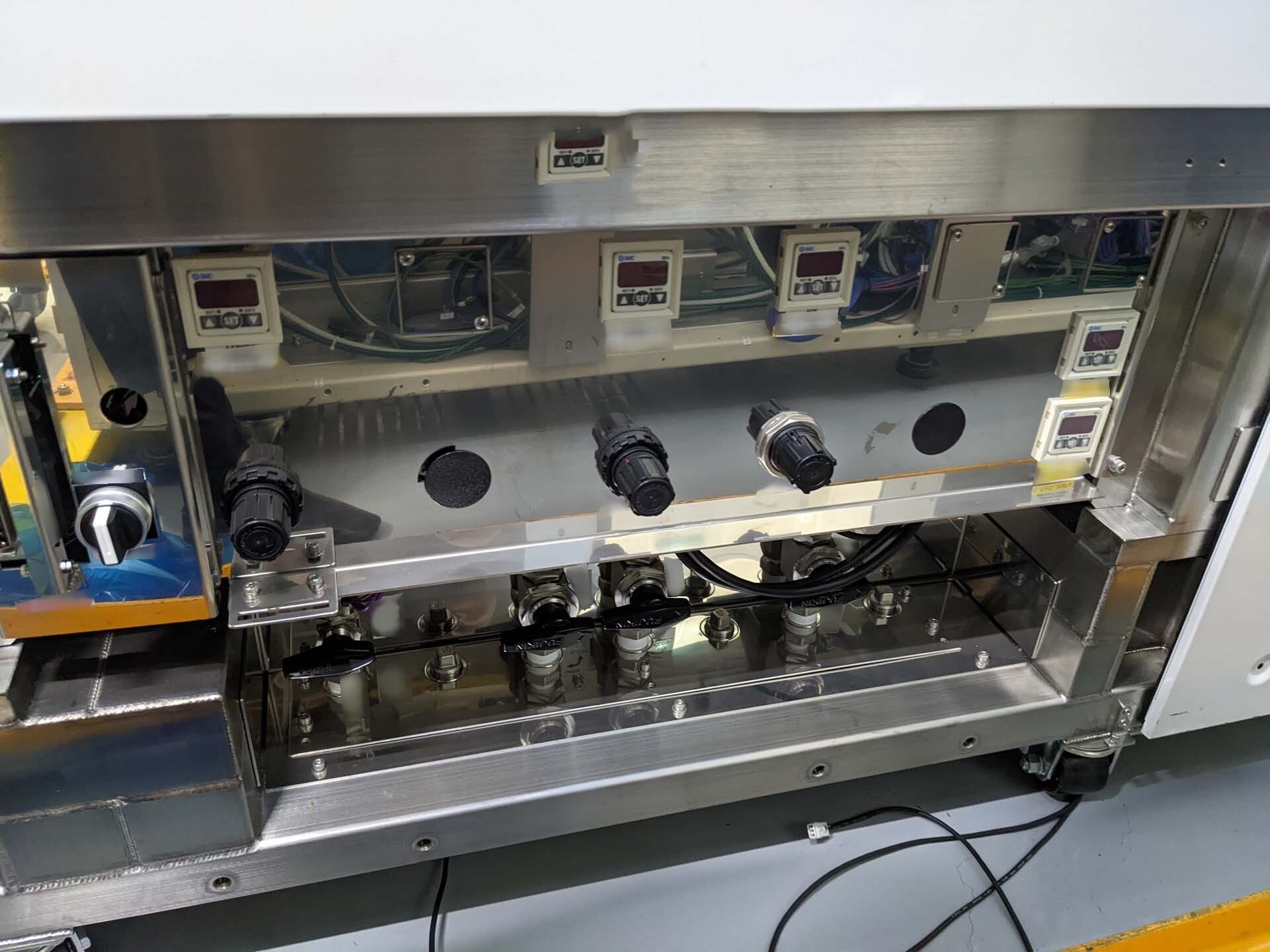 Photo Used DNS / DAINIPPON SS-3100 For Sale