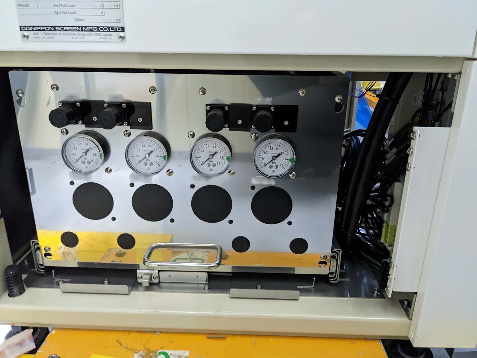 Photo Used DNS / DAINIPPON SS-3100 For Sale
