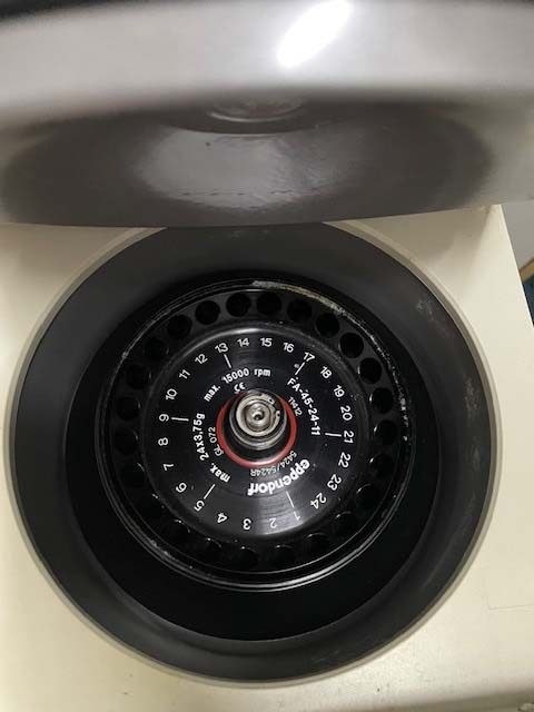 圖為 已使用的 EPPENDORF 5424 待售