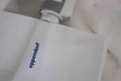 Photo Used EPPENDORF Research Plus Pipet 100 For Sale