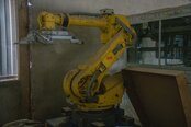 FANUC R-2000iA 165F