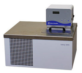 Foto Verwendet FISHER SCIENTIFIC Isotemp 3006S Zum Verkauf