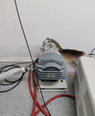 图为 已使用的 PHILIPS / FEI Helios NanoLab 600 待售