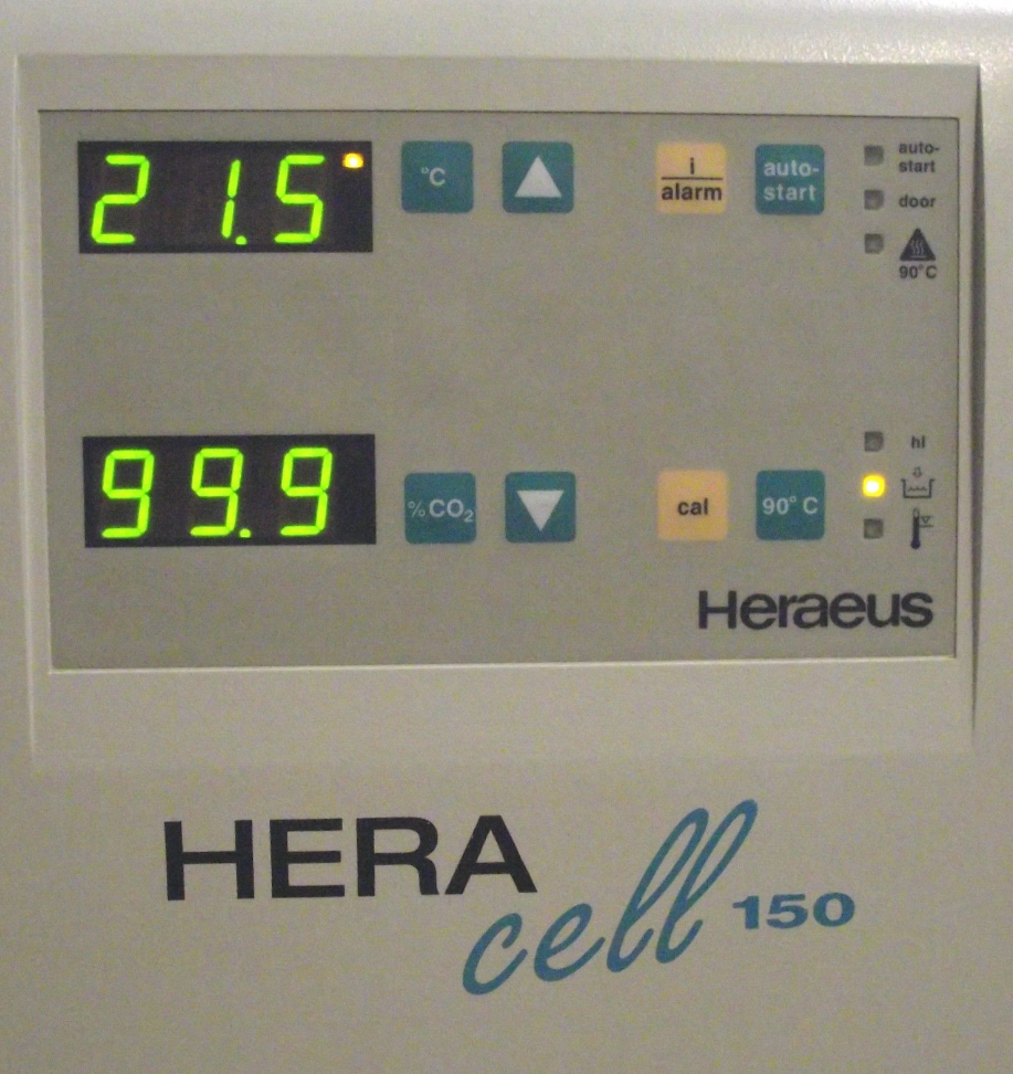 Foto Verwendet HERAEUS / THERMO FISHER SCIENTIFIC / KENDRO HERA Cell 150 Zum Verkauf