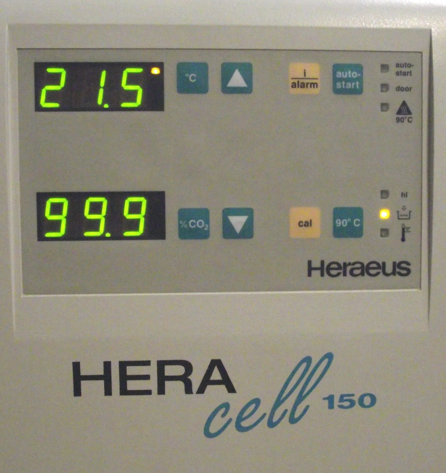 フォト（写真） 使用される HERAEUS / THERMO FISHER SCIENTIFIC / KENDRO HERA Cell 150 販売のために