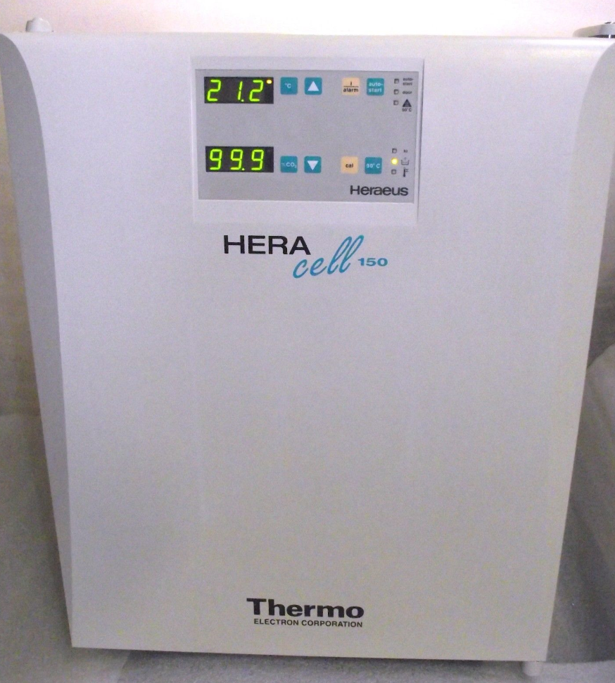 Photo Used HERAEUS / THERMO FISHER SCIENTIFIC / KENDRO HERA Cell 150 For Sale