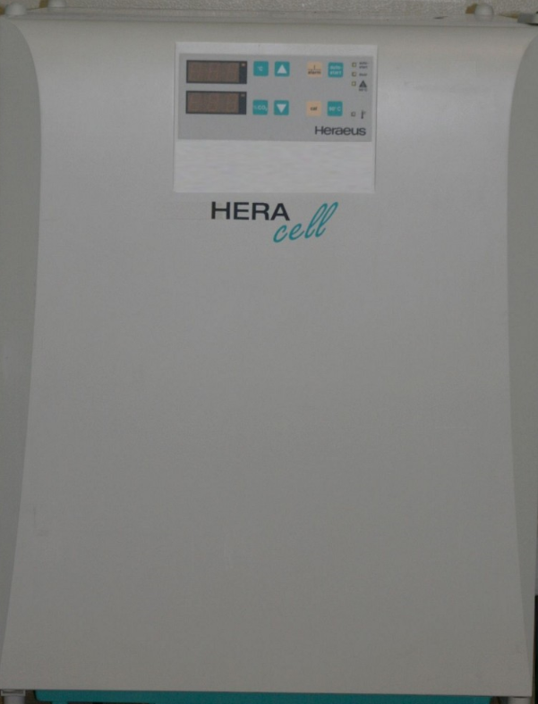 圖為 已使用的 HERAEUS / THERMO FISHER SCIENTIFIC / KENDRO Heracell 150 待售